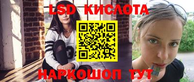 прущие грибы Краснодар