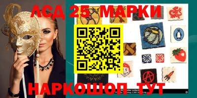 прущие грибы Краснодар
