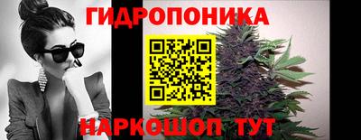 прущие грибы Краснодар