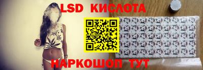 прущие грибы Краснодар